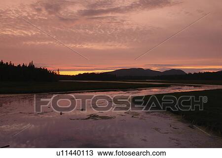 Bernard/Bass Harbor, ME, Maine, fishing harbor, sunset View Large Photo Image Stock Image - Bernard/Bass Harbor, ME, Maine, fishing harbor, sunset. Fotosearch