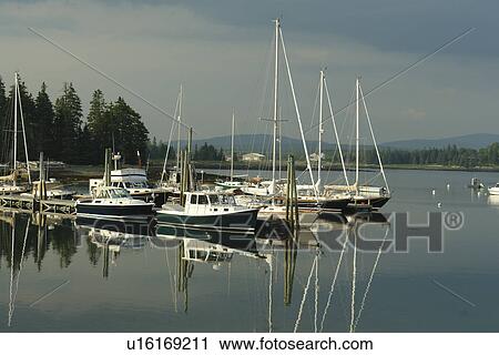 Bernard/Bass Harbor, ME, Maine, fishing harbor View Large Photo Image Stock Image - Bernard/Bass Harbor, ME, Maine, fishing harbor. Fotosearch