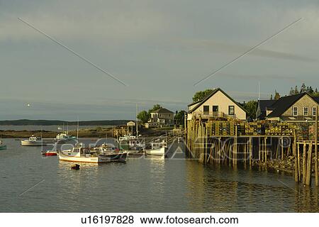 Bernard/Bass Harbor, ME, Maine, fishing harbor View Large Photo Image Stock Photo - Bernard/Bass Harbor, ME, Maine, fishing harbor. Fotosearch