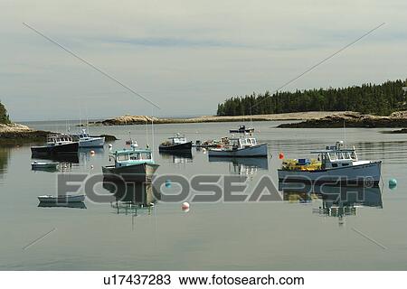Birch Harbor, ME, Maine, Schoodic Peninsula, fishing harbor View Large Photo Image Stock Image - Birch Harbor, ME, Maine, Schoodic Peninsula, fishing harbor. Fotosearch