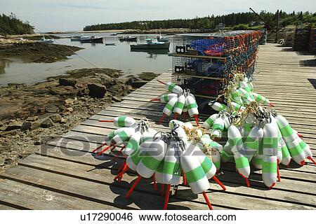Birch Harbor, ME, Maine, Schoodic Peninsula, fishing harbor, lobster traps & buoys View Large Photo Image Stock Photograph - Birch Harbor, ME, Maine, Schoodic Peninsula, fishing harbor, lobster traps & buoys. Fotosearch
