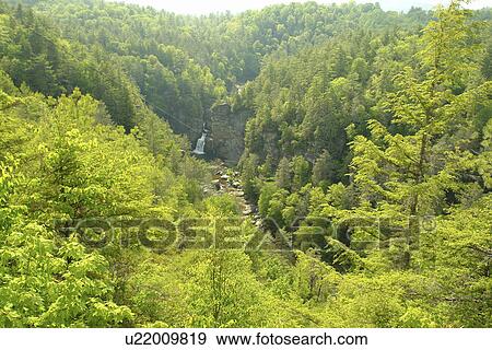 Blue Ridge Parkway, Boone, NC, North Carolina, Blue Ridge Mountains, Appalachian Mts Linnville Falls View Large Photo Image Stock Photo - Blue Ridge Parkway, Boone, NC, North Carolina, Blue Ridge Mountains, Appalachian Mts Linnville Falls. Fotosearch