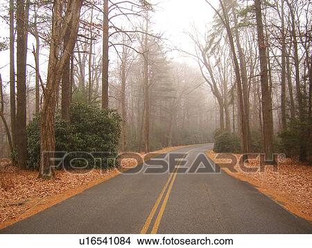 Picture -  Blue Ridge Parkway, fog, Galax, Virginia, VA. Fotosearch