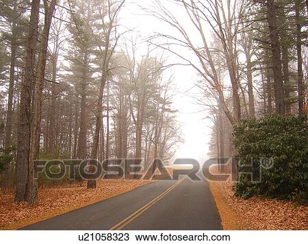 Blue Ridge Parkway, fog, Galax, Virginia, VA View Large Photo Image Stock Image - Blue Ridge Parkway, fog, Galax, Virginia, VA. Fotosearch