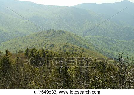 Blue Ridge Parkway, NC, North Carolina, Blue Ridge Mountains, Appalachian Mts Mount Mitchell View Large Photo Image Stock Image - Blue Ridge Parkway, NC, North Carolina, Blue Ridge Mountains, Appalachian Mts Mount Mitchell. Fotosearch