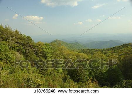Stock Photo -  Blue Ridge Parkway, NC, North Carolina, Blue Ridge Mountains, Appalachian Mts Mount Mitchell. Fotosearch