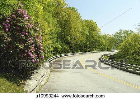 Boone, Blue Ridge Parkway, NC, North Carolina, Blue Ridge Mountains, Appalachian Mts Linn Cove Viaduct View Large Photo Image Picture - Boone, Blue Ridge Parkway, NC, North Carolina, Blue Ridge Mountains, Appalachian Mts Linn Cove Viaduct . Fotosearch