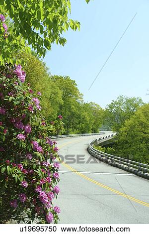 Boone, Blue Ridge Parkway, NC, North Carolina, Blue Ridge Mountains, Appalachian Mts Linn Cove Viaduct View Large Photo Image Stock Image - Boone, Blue Ridge Parkway, NC, North Carolina, Blue Ridge Mountains, Appalachian Mts Linn Cove Viaduct . Fotosearch