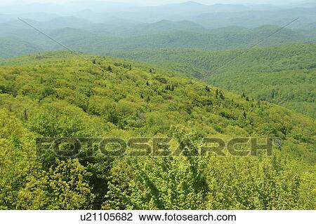Boone, Blue Ridge Parkway, NC, North Carolina, Blue Ridge Mountains, Appalachian Mts Linn Cove Viaduct View Large Photo Image Stock Image - Boone, Blue Ridge Parkway, NC, North Carolina, Blue Ridge Mountains, Appalachian Mts Linn Cove Viaduct . Fotosearch