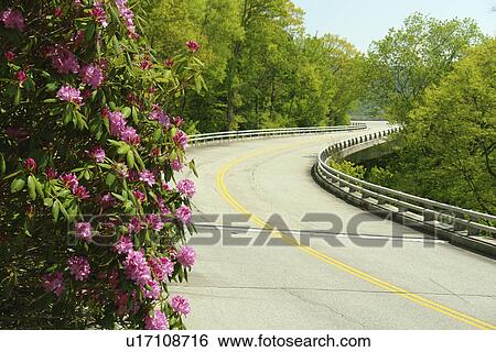 Boone, Blue Ridge Parkway, NC, North Carolina, Blue Ridge Mountains, Appalachian Mts Linn Cove Viaduct View Large Photo Image Stock Photograph - Boone, Blue Ridge Parkway, NC, North Carolina, Blue Ridge Mountains, Appalachian Mts Linn Cove Viaduct . Fotosearch