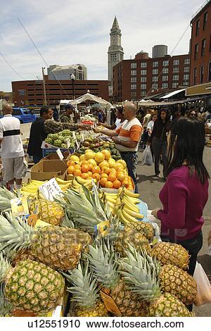 Stock Image -  Boston, Cambridge, MA, Massachusetts. Fotosearch