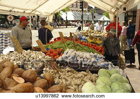 Boston, Cambridge, MA, Massachusetts View Large Photo Image Stock Image - Boston, Cambridge, MA, Massachusetts. Fotosearch