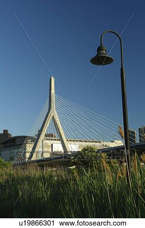 Stock Image -  Boston, MA, Massachusetts, Downtown, Charles River Bridge, cable-stayed bridge, The Big Dig. Fotosearch
