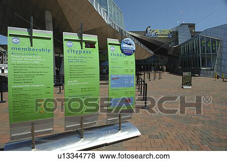 Boston, MA, Massachusetts, Downtown View Large Photo Image Stock Photo - Boston, MA, Massachusetts, Downtown. Fotosearch