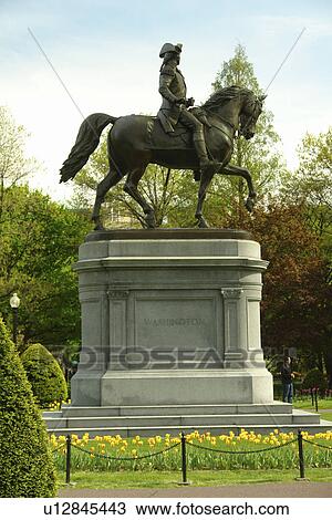 Boston, MA, Massachusetts, Public Garden View Large Photo Image Stock Image - Boston, MA, Massachusetts, Public Garden. Fotosearch
