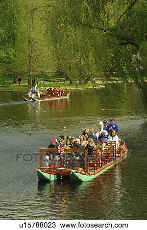 Boston, MA, Massachusetts, Public Garden View Large Photo Image Stock Image - Boston, MA, Massachusetts, Public Garden. Fotosearch