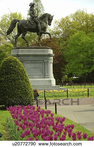 Boston, MA, Massachusetts, Public Garden View Large Photo Image Stock Image - Boston, MA, Massachusetts, Public Garden. Fotosearch