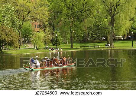 Boston, MA, Massachusetts, Public Garden View Large Photo Image Stock Image - Boston, MA, Massachusetts, Public Garden. Fotosearch