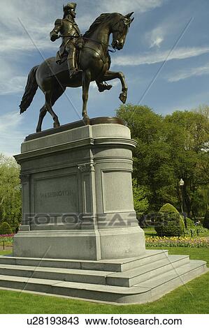 Boston, MA, Massachusetts, Public Garden View Large Photo Image Stock Image - Boston, MA, Massachusetts, Public Garden. Fotosearch