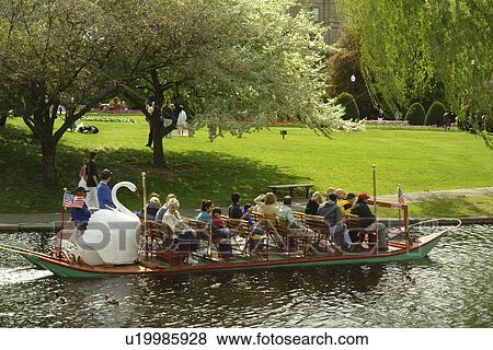 Boston, MA, Massachusetts, Public Garden View Large Photo Image Stock Photo - Boston, MA, Massachusetts, Public Garden. Fotosearch
