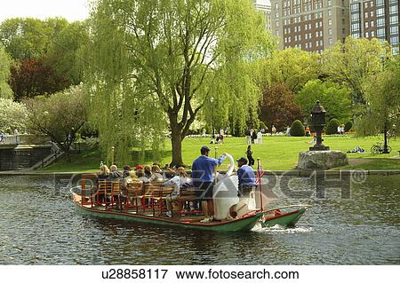 Boston, MA, Massachusetts, Public Garden View Large Photo Image Stock Photo - Boston, MA, Massachusetts, Public Garden. Fotosearch