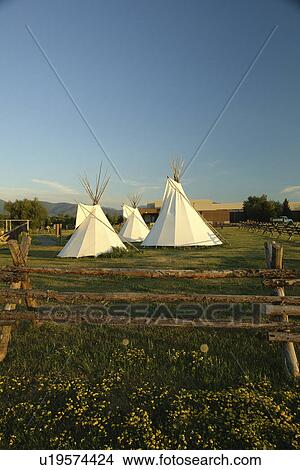Bozeman, MT, Montana, Museum of the Rockies, tepees View Large Photo Image Picture - Bozeman, MT, Montana, Museum of the Rockies, tepees. Fotosearch