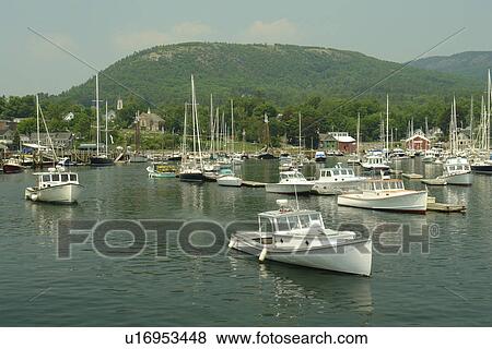 Camden, ME, Maine, harbor View Large Photo Image Stock Photo - Camden, ME, Maine, harbor. Fotosearch