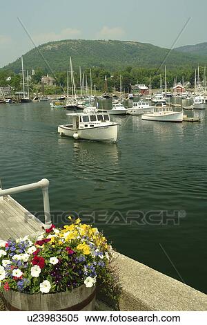 Camden, ME, Maine, harbor View Large Photo Image Stock Photography - Camden, ME, Maine, harbor. Fotosearch