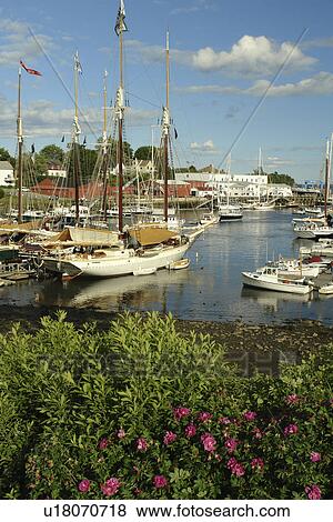 Camden, ME, Maine, Penobscot Bay, harbor View Large Photo Image Stock Photo - Camden, ME, Maine, Penobscot Bay, harbor. Fotosearch
