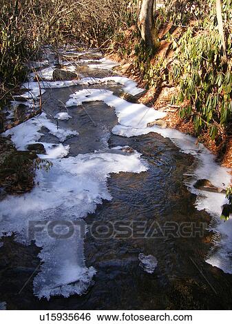 Chestnut Creek, Fisher Peak Loop Trail, Blue Ridge Parkway, Galax, Virginia, VA View Large Photo Image Stock Photograph - Chestnut Creek, Fisher Peak Loop Trail, Blue Ridge Parkway, Galax, Virginia, VA. Fotosearch