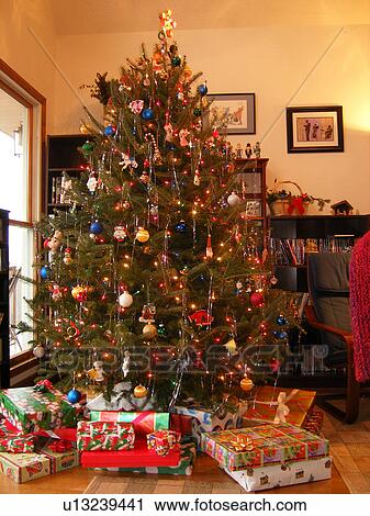 Christmas tree, indoor View Large Photo Image Stock Image - Christmas tree, indoor. Fotosearch