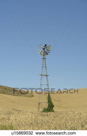 Colfax, The Palouse Country, WA, Washington, Whitman County, Wheatfield, windmill View Large Photo Image Stock Image - Colfax, The Palouse Country, WA, Washington, Whitman County, Wheatfield, windmill. Fotosearch