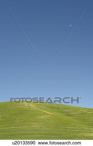 Colfax, The Palouse Country, WA, Washington, Whitman County, rolling hills, green fields, blue sky View Large Photo Image Stock Image - Colfax, The Palouse Country, WA, Washington, Whitman County, rolling hills, green fields, blue sky. Fotosearch
