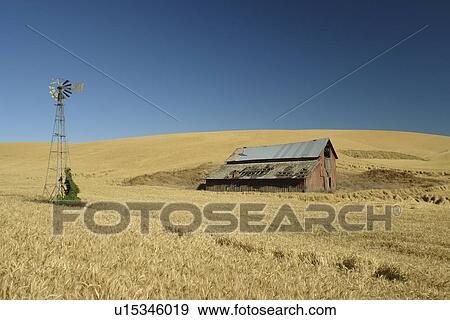 Colfax, The Palouse Country, WA, Washington, Whitman County, Wheatfield, windmill View Large Photo Image Stock Photo - Colfax, The Palouse Country, WA, Washington, Whitman County, Wheatfield, windmill. Fotosearch