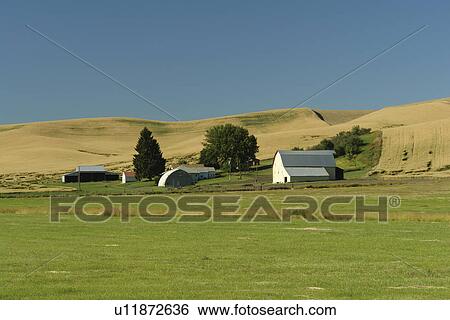 Stock Photograph -  Colfax, The Palouse Country, WA, Washington, Whitman County, rolling hills, fields, farmland. Fotosearch