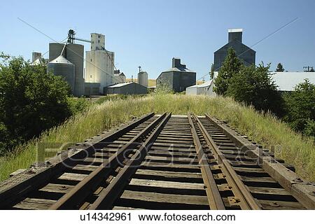 Cottonwood, ID, Idaho, Camas Prairie, Railroad on Stilts, train tracks, grain elevators View Large Photo Image Stock Image - Cottonwood, ID, Idaho, Camas Prairie, Railroad on Stilts, train tracks, grain elevators. Fotosearch