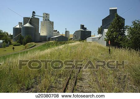 Cottonwood, ID, Idaho, Camas Prairie, Railroad on Stilts, grain elevators View Large Photo Image Stock Photo - Cottonwood, ID, Idaho, Camas Prairie, Railroad on Stilts, grain elevators. Fotosearch