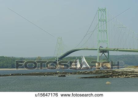 Deer Isle, ME, Maine, Deer Isle Bridge, suspension bridge, schooner, tall ship, sailing vessel, island, waterway View Large Photo Image Stock Photograph - Deer Isle, ME, Maine, Deer Isle Bridge, suspension bridge, schooner, tall ship, sailing vessel, island, waterway. Fotosearch