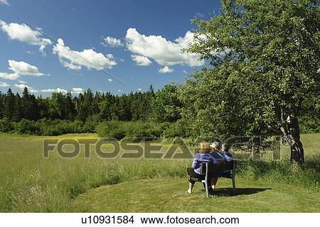 Picture -  Dennysville, ME, Maine, Cobscook State Park, three women sitting on a bench. Fotosearch