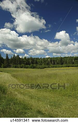 Stock Image -  Dennysville, ME, Maine, Cobscook State Park. Fotosearch