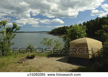 Dennysville, ME, Maine, Cobscook State Park, camping View Large Photo Image Stock Photography - Dennysville, ME, Maine, Cobscook State Park, camping. Fotosearch
