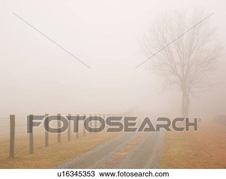 dirt road, fog, Galax, Virginia, VA View Large Photo Image Stock Image - dirt road, fog, Galax, Virginia, VA. Fotosearch