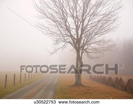 Stock Image -  dirt road, fog, Galax, Virginia, VA. Fotosearch