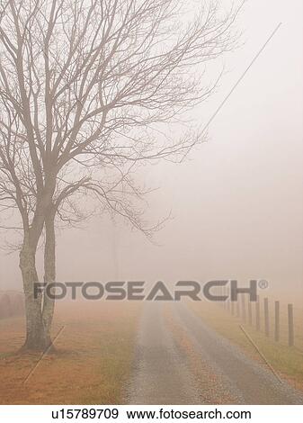 dirt road, fog, Galax, Virginia, VA View Large Photo Image Stock Photo - dirt road, fog, Galax, Virginia, VA. Fotosearch