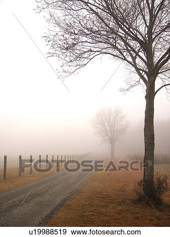 Stock Photo -  dirt road, fog, Galax, Virginia, VA. Fotosearch