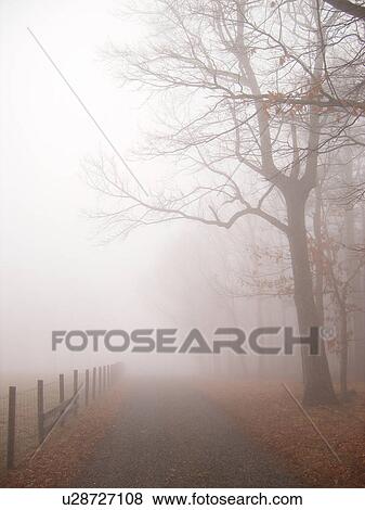 Stock Photo -  dirt road, fog, Galax, Virginia, VA. Fotosearch