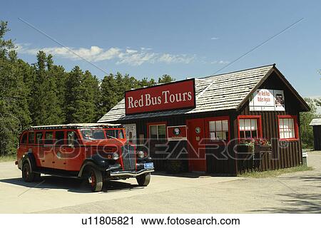 East Glacier Park, MT, Montana, Rocky Mountains, Blackfeet Indian Reservation, Red Bus Tours View Large Photo Image Stock Image - East Glacier Park, MT, Montana, Rocky Mountains, Blackfeet Indian Reservation, Red Bus Tours. Fotosearch