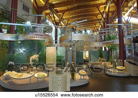 Picture -  Erie, PA, Pennsylvania, Presque Isle State Park, Tom Ridge Environmental Center. Fotosearch