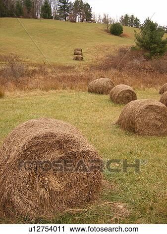 Stock Image -  field, hay bales, Blue Ridge Parkway, Galax, Virginia, VA. Fotosearch
