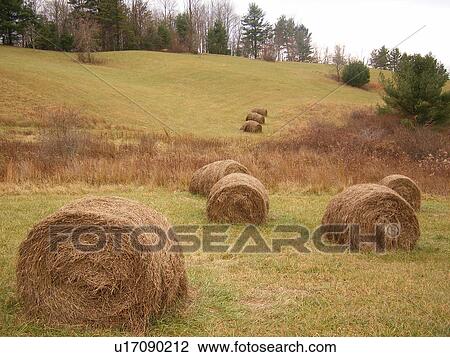 field, hay bales, Blue Ridge Parkway, Galax, Virginia, VA View Large Photo Image Stock Image - field, hay bales, Blue Ridge Parkway, Galax, Virginia, VA. Fotosearch